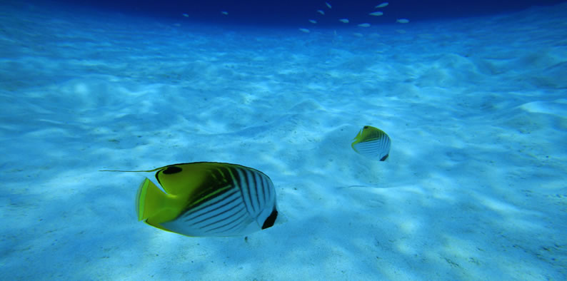 Slideshow Image 7